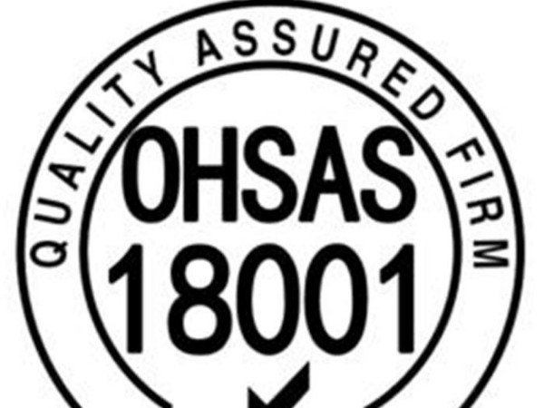 粉末涂料OHSAS18000职业健康安全管理体系-登王粉末涂料